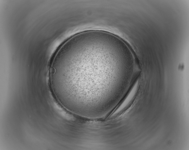 X0000089381511200706221242