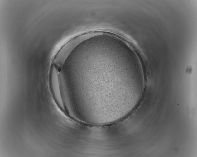 X0000089381512200706221242