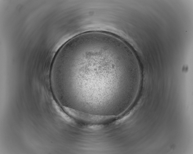 X0000089381513200706221242