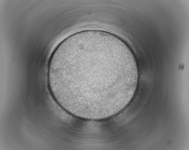 X0000089381514200706221242