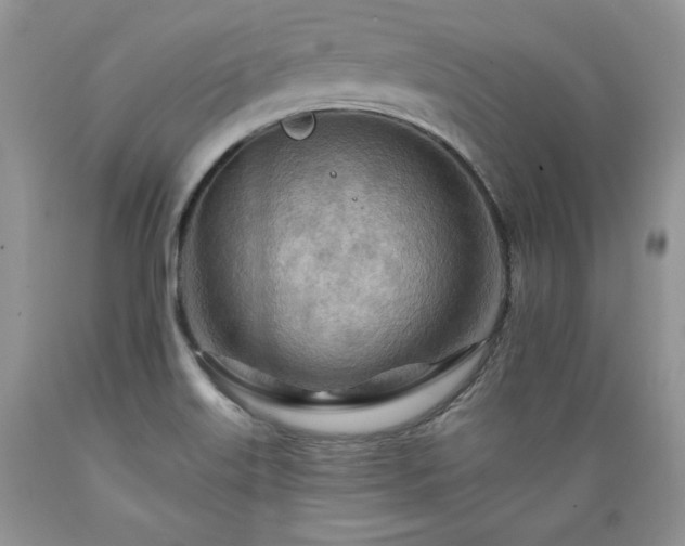 X0000089381515200706221242