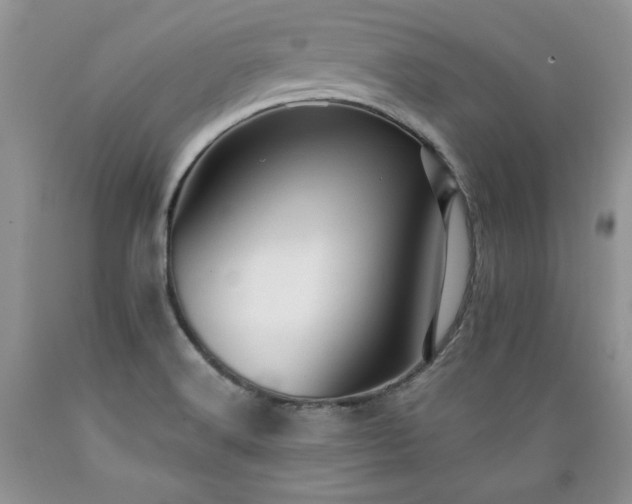 X0000089381516200706221242