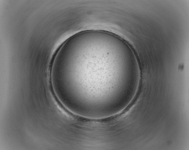 X0000089381517200706221242