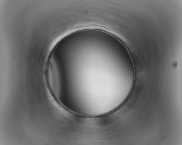 X0000089381518200706221242