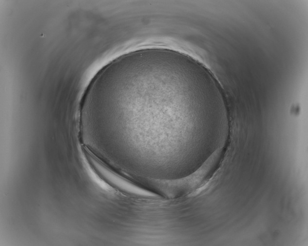 X0000089381519200706221242