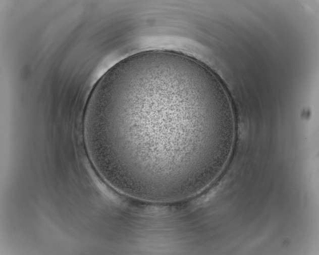 X0000089381521200706221242