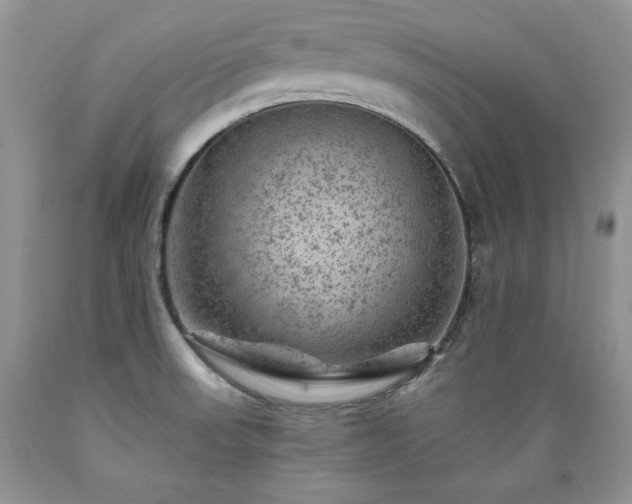 X0000089381523200706221242