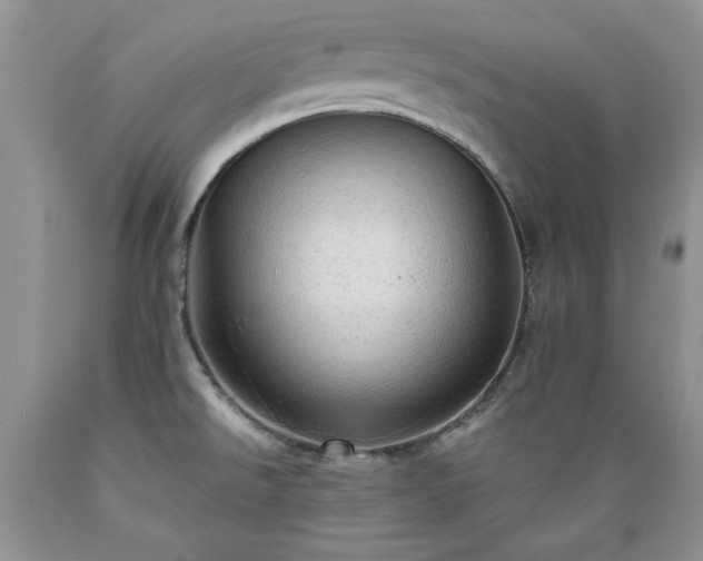 X0000089381526200706221242