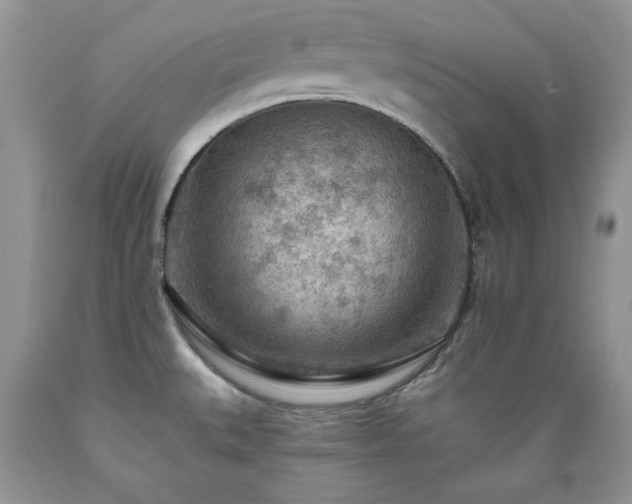 X0000089381527200706221242