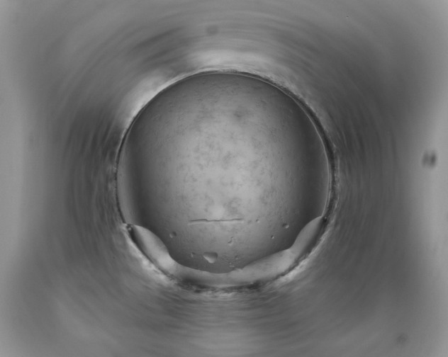 X0000089381529200706221242