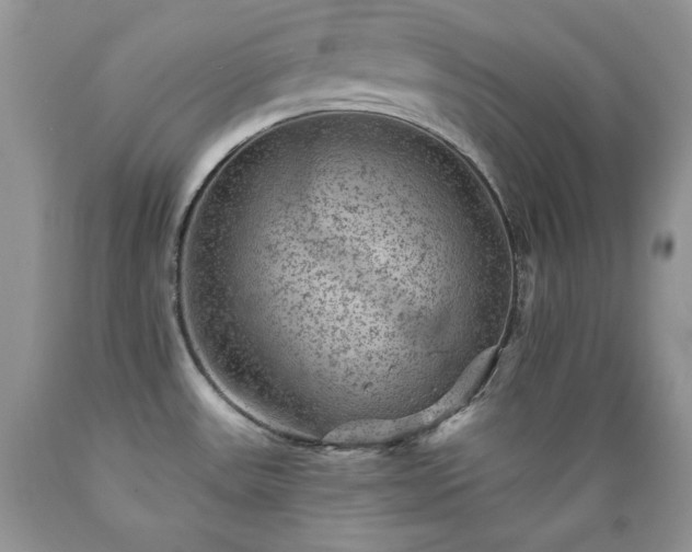 X0000089381531200706221242