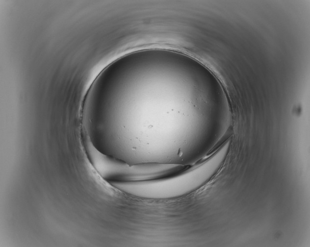 X0000089381532200706221242