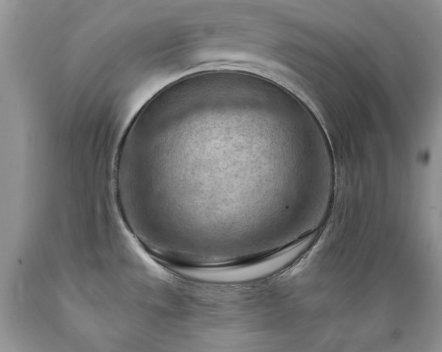 X0000089381533200706221242