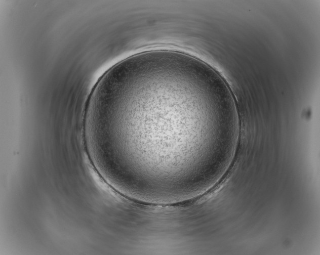 X0000089381534200706221242