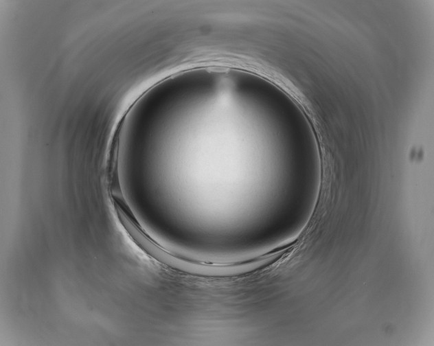 X0000089381536200706221242