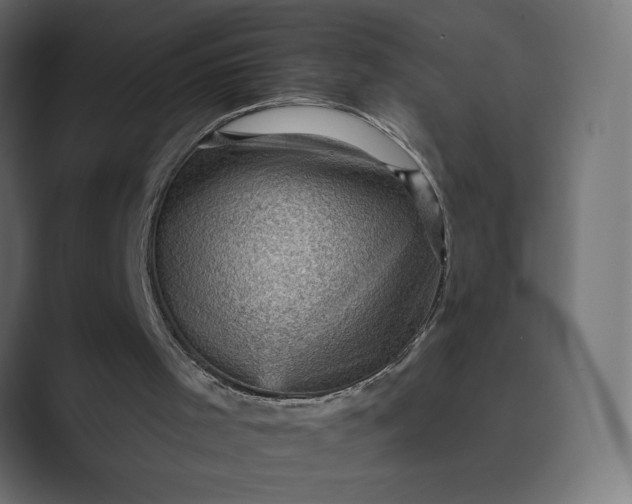 X0000089380001200706291325