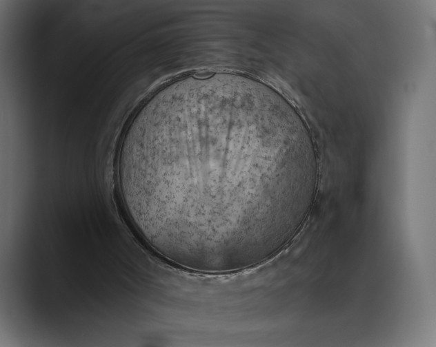 X0000089380002200706291325