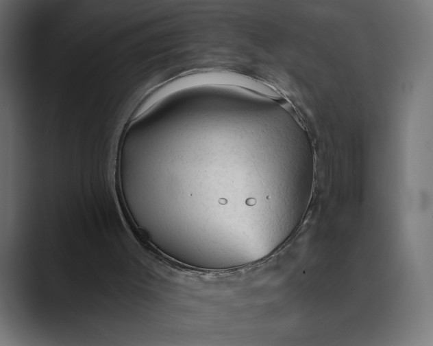 X0000089380003200706291325