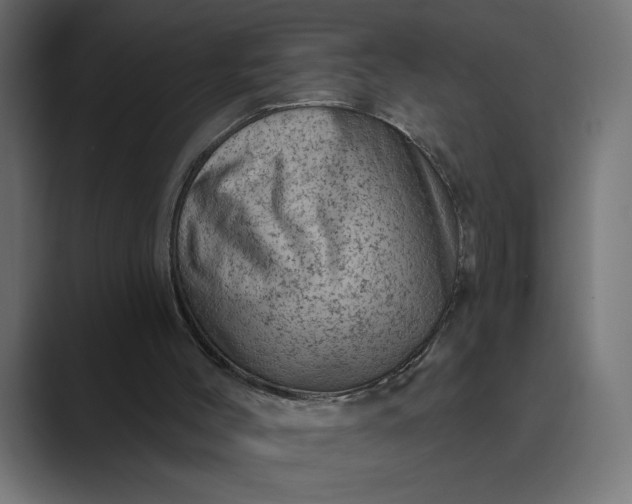 X0000089380004200706291325