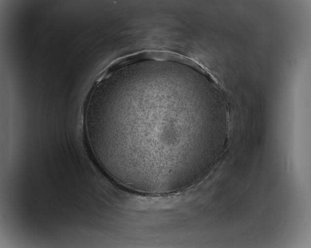 X0000089380005200706291325
