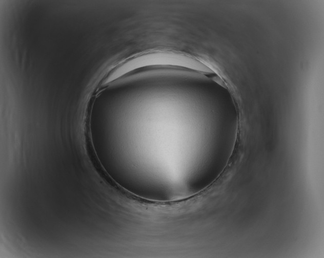 X0000089380007200706291325