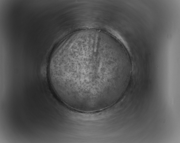X0000089380010200706291325