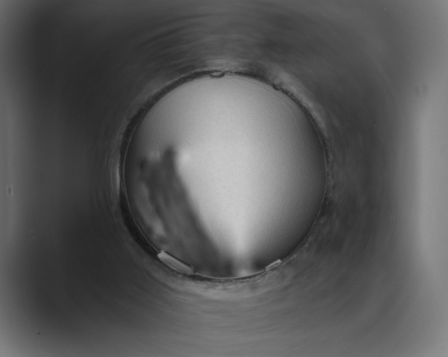 X0000089380011200706291325