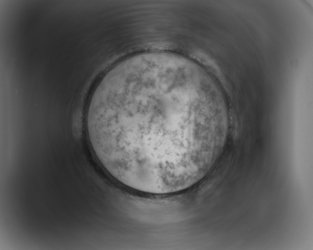 X0000089380012200706291325
