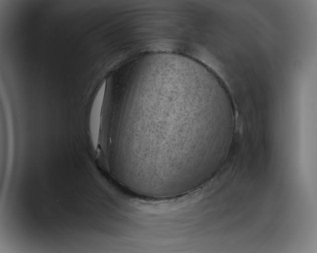 X0000089380013200706291325