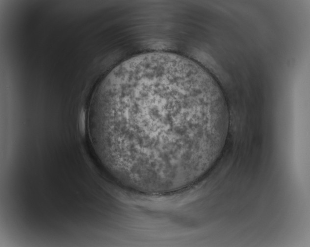 X0000089380014200706291325