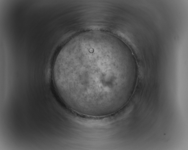 X0000089380016200706291325