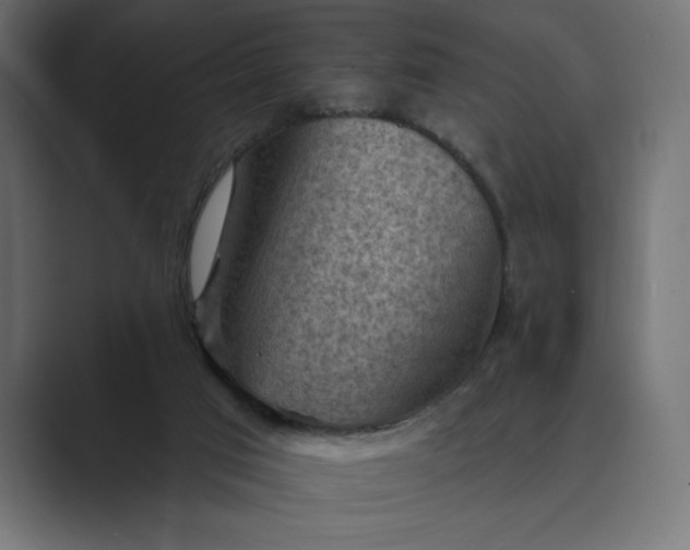 X0000089380017200706291325