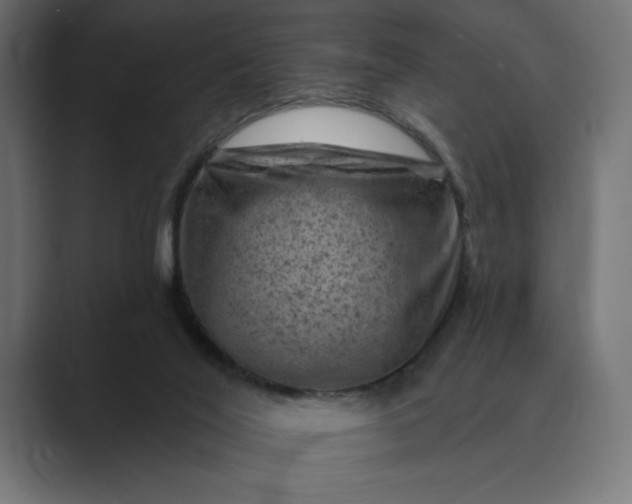 X0000089380020200706291325