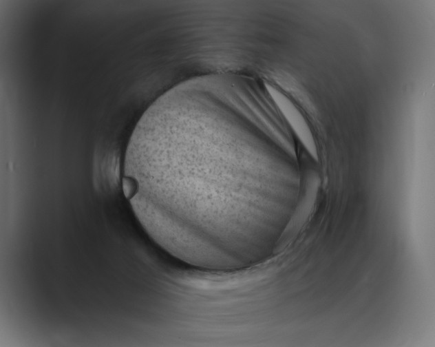 X0000089380021200706291325