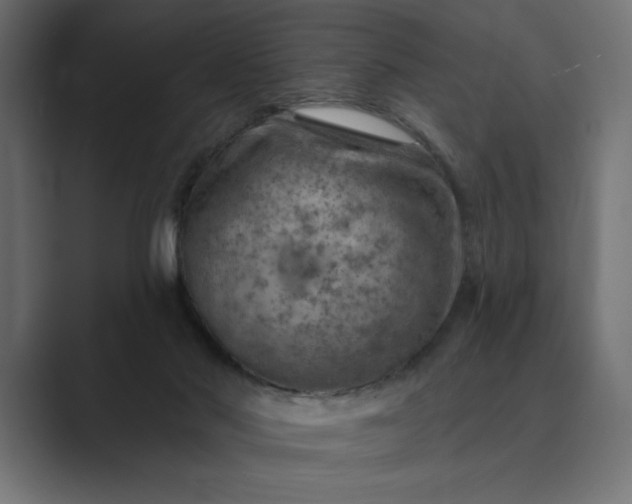 X0000089380022200706291325