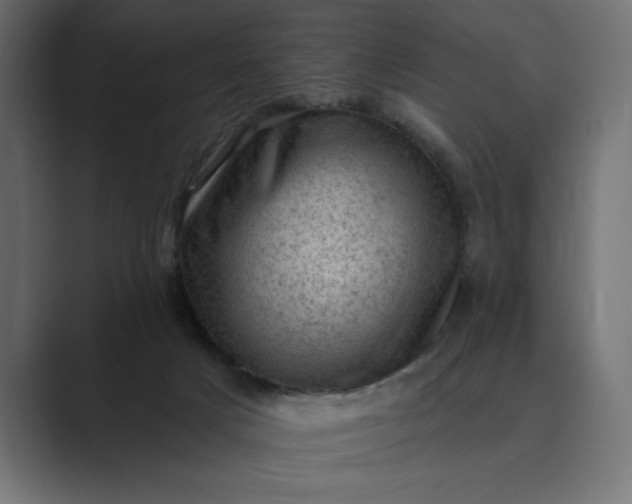 X0000089380025200706291325
