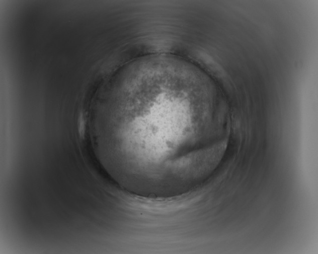X0000089380026200706291325
