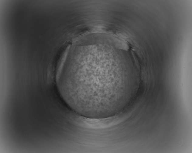 X0000089380030200706291325