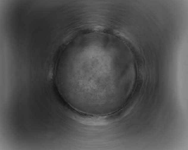 X0000089380032200706291325
