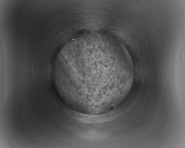X0000089380034200706291324