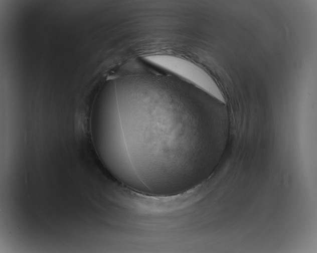 X0000089380035200706291324