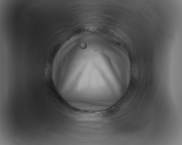 X0000089380036200706291324
