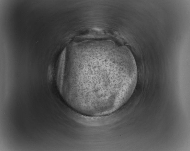 X0000089380038200706291324
