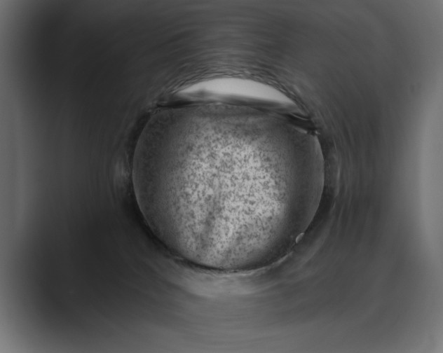 X0000089380040200706291324