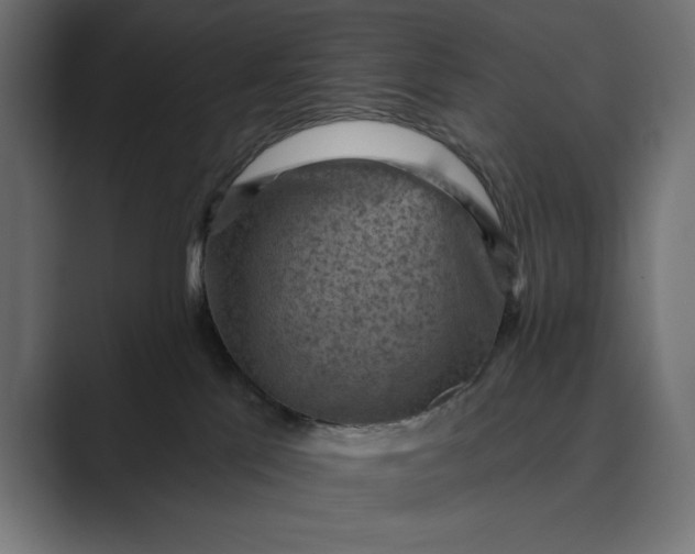 X0000089380041200706291324