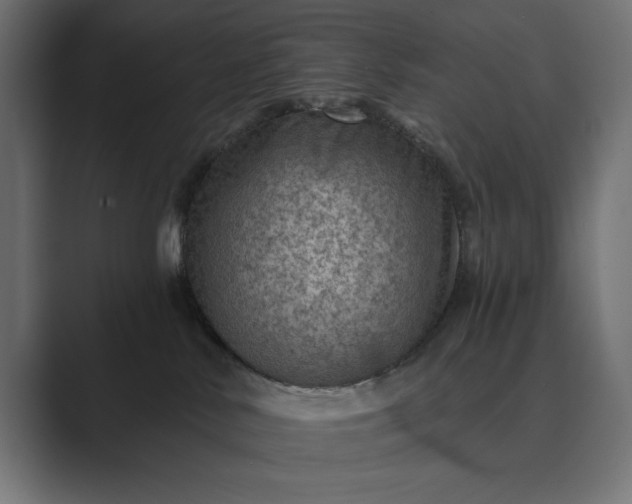 X0000089380042200706291324
