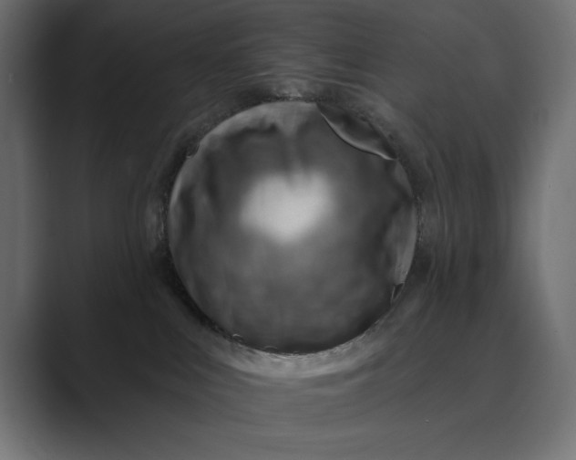 X0000089380043200706291324