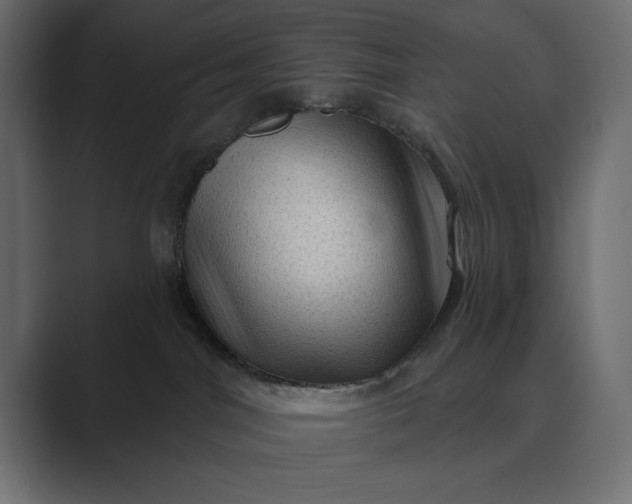 X0000089380044200706291324