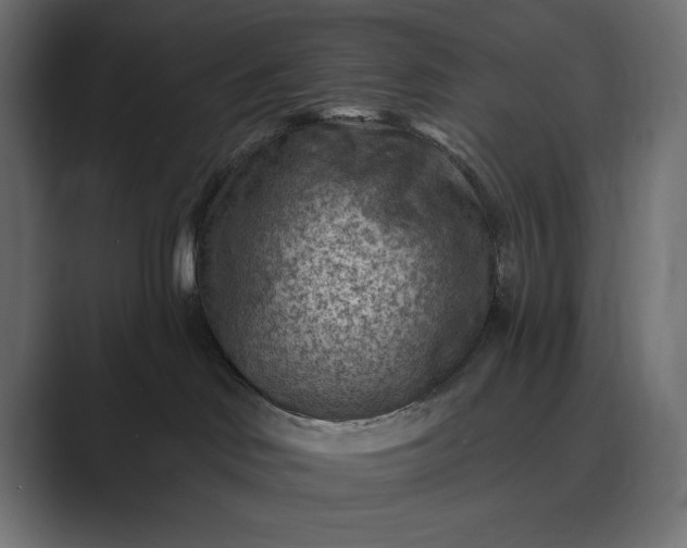 X0000089380046200706291324