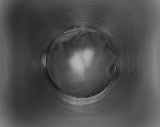 X0000089380047200706291324